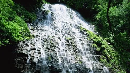 电子高性能精密